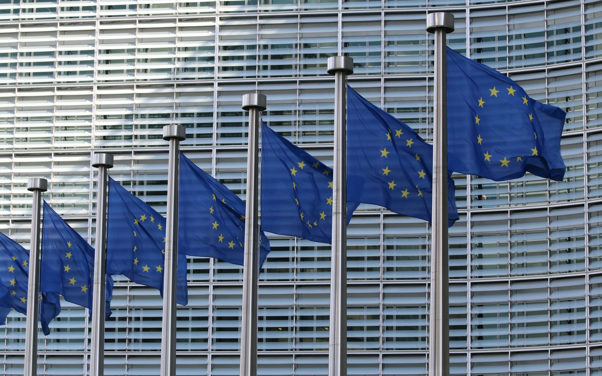 European Flag