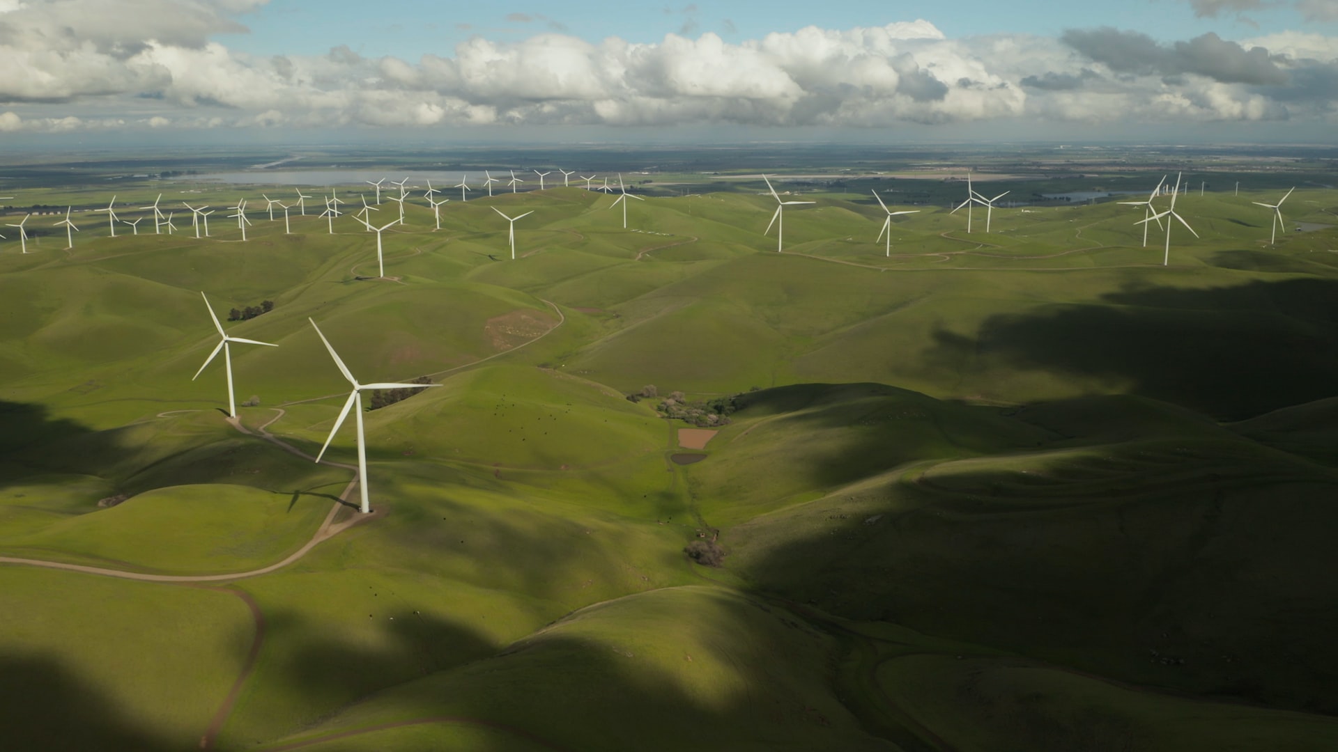 Green carbon neutral